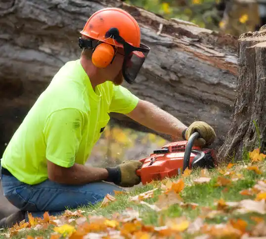 tree services Orwell